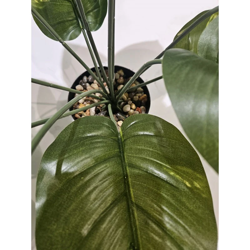 Pianta artificiale Sterlizia - Image 3