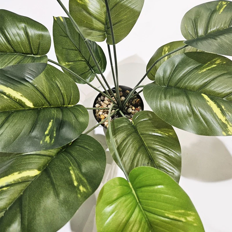 Pianta artificiale Sterlizia - Image 4