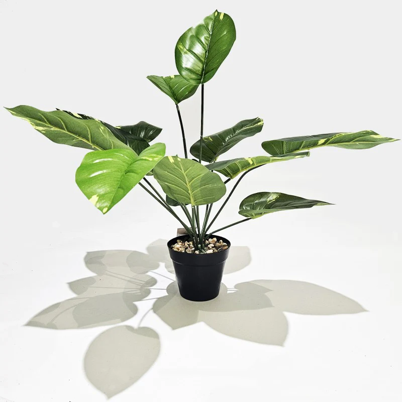 Pianta artificiale Sterlizia - Image 5